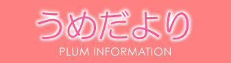 infotitle01.gif (5143 バイト)